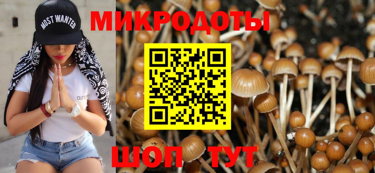 Электрогорск  Псилоцибиновые грибы мицелий  Вход с VPN  Галлюциногенные грибы Psilocybine cubensis 